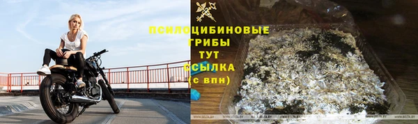 мяу мяу мука Покровск