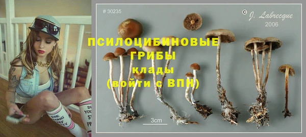 бошки Алзамай