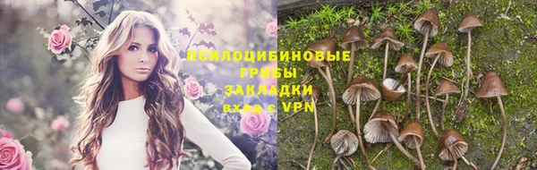 молекула духа Алексеевка