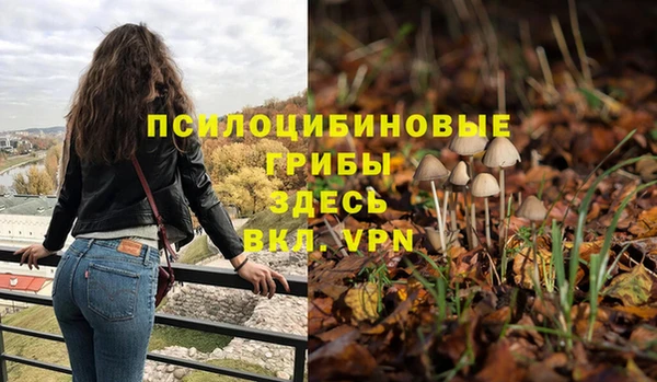 бошки Алзамай