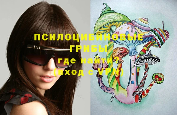 молекула духа Алексеевка